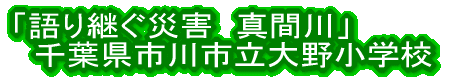24Nx 